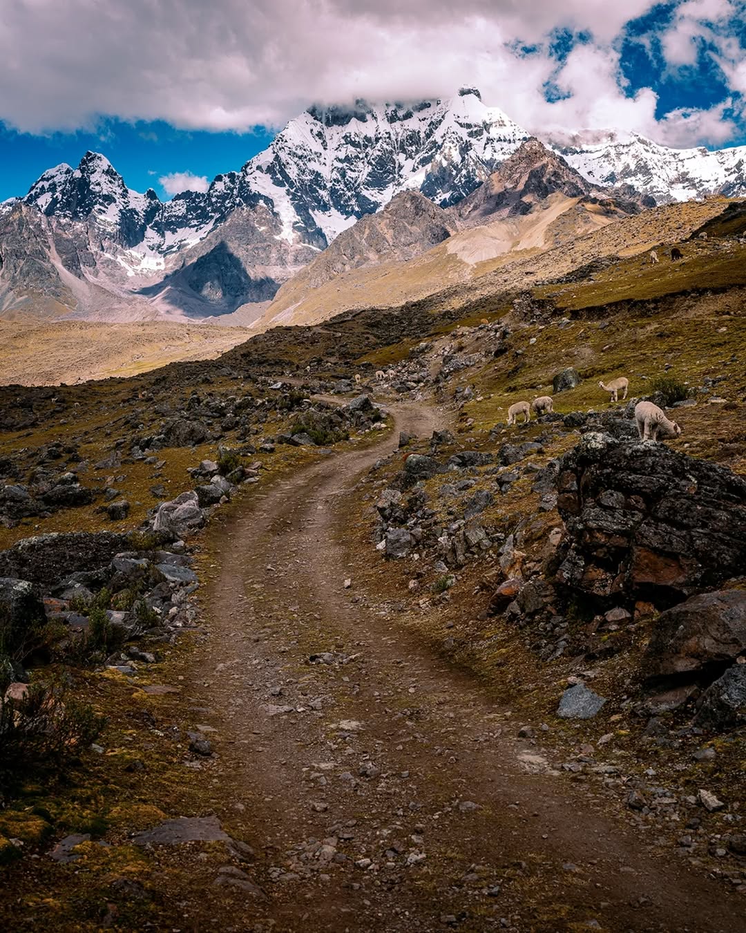 MONTAÑA AUSANGATE